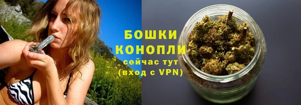 a pvp Новодвинск
