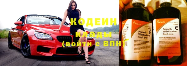 крисы Новозыбков