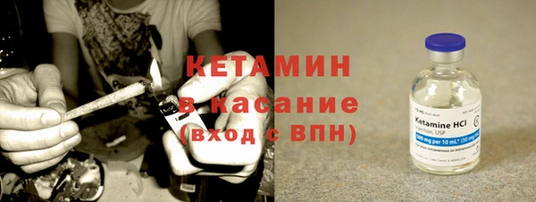 крисы Новозыбков