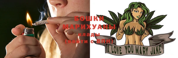 крисы Новозыбков