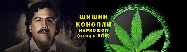 крисы Новозыбков