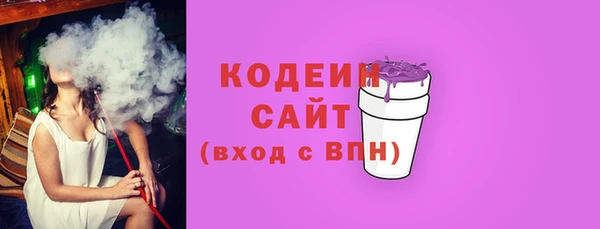 крисы Новозыбков