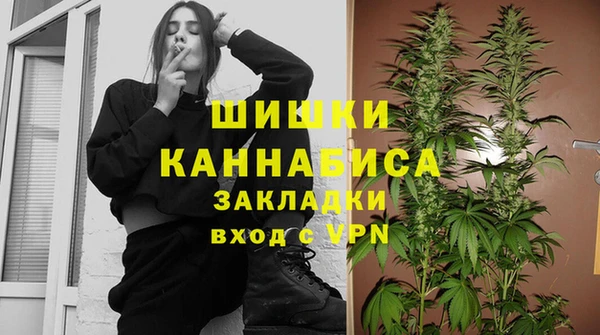 крисы Новозыбков