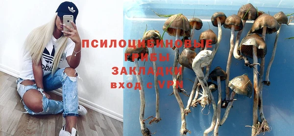 a pvp Новодвинск