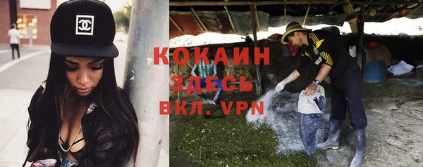 крисы Новозыбков