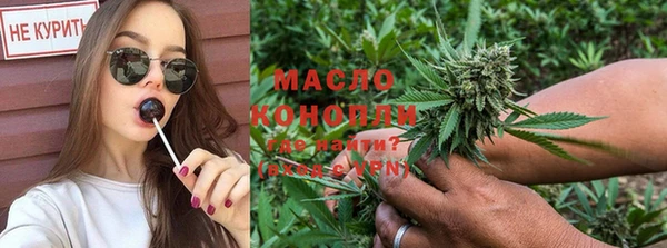крисы Новозыбков