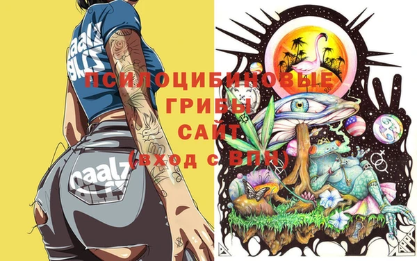 a pvp Новодвинск