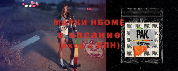 крисы Новозыбков