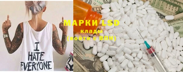 крисы Новозыбков