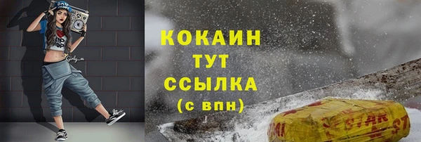 a pvp Новодвинск