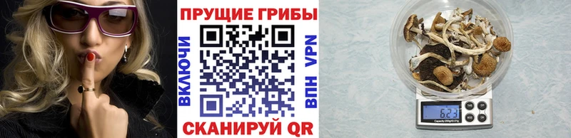 Галлюциногенные грибы мухоморы  Купить закладки  Протвино 